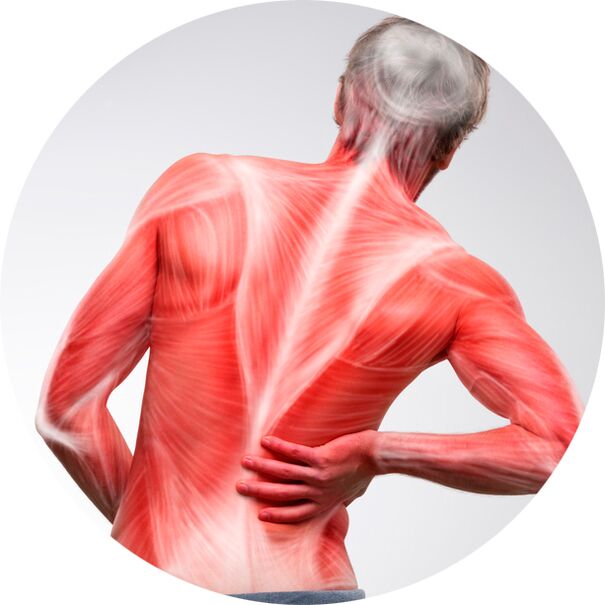 Lielākajai daļai cilvēku mugura ir izplatīts muskuļu un locītavu sāpju avots.